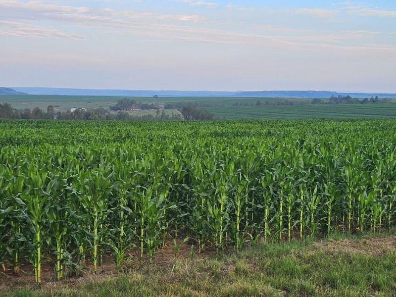 8 Bedroom Property for Sale in Bethlehem Rural Free State